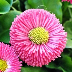 Meet your Posher, Jordan